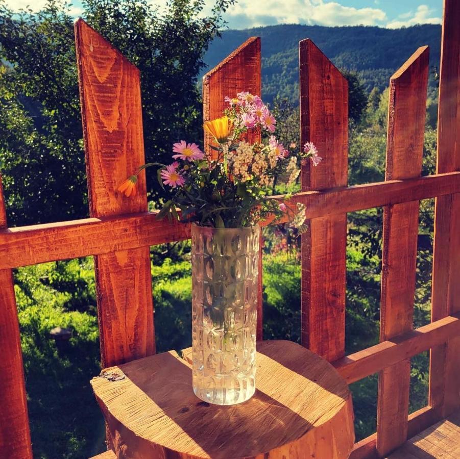 Villa Eco kutak Mojkovac Exterior foto